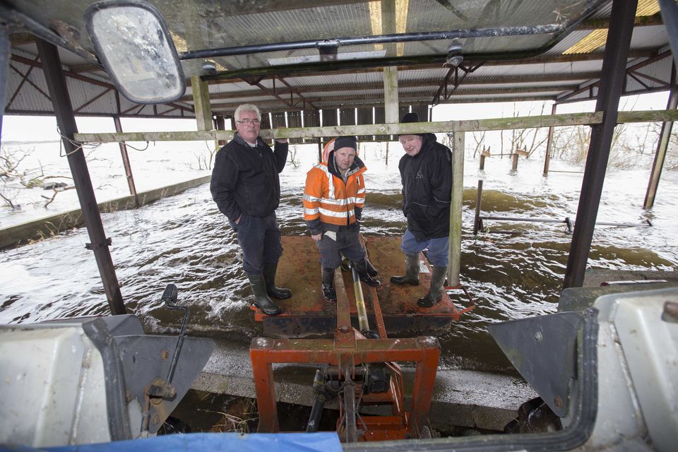 Farmer Tom Carney with neighbours Leo Kenny and Laurence Fallon as they clear out his sheep shed, which was flooded by the swelling of Lough Funshinagh in 2020. Photo: Brian Farrell